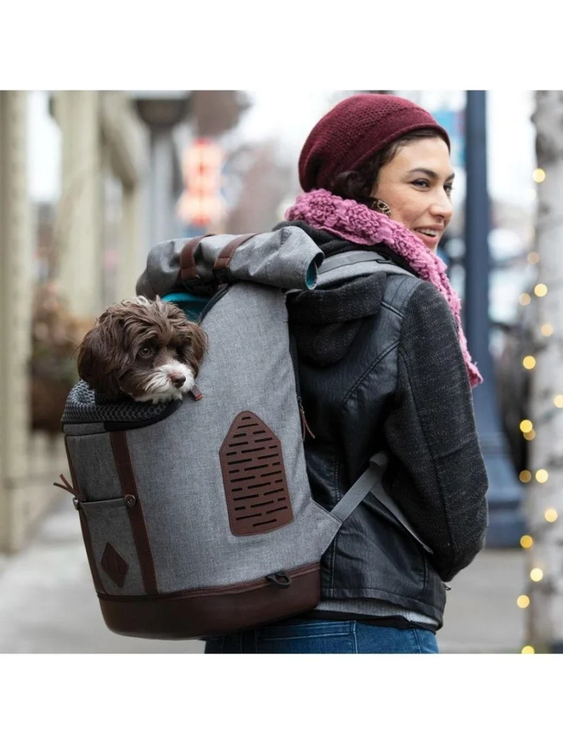 KURGO K9 Rucksack - Grau