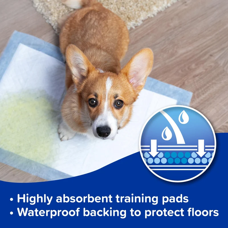 Beaphar Super Absorbent Puppy Training Pads for Dogs & Cats 60x60cm Pack of 7