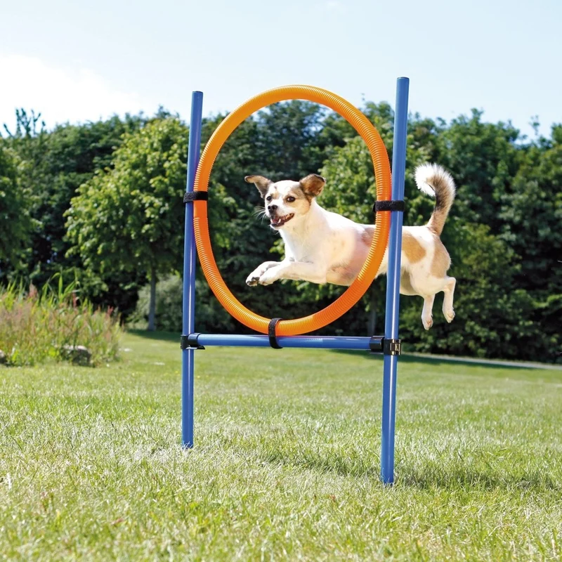 Trixie Agility-Ring, ø65 cm