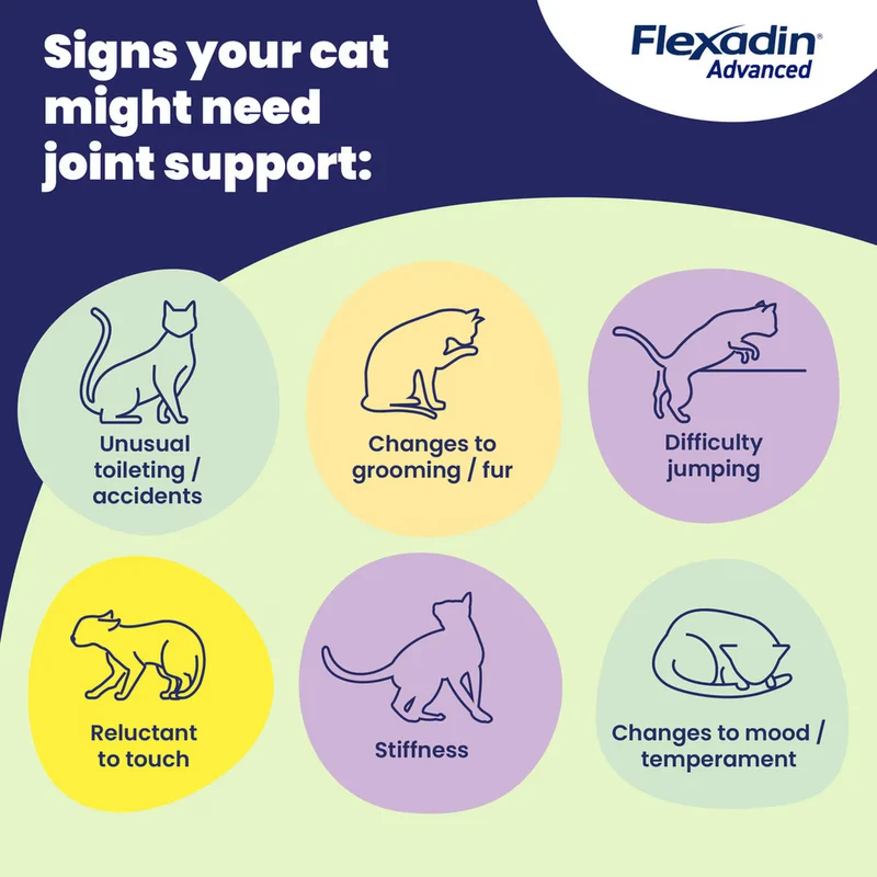 Vetoquinol Flexadin Advanced Soft Chews Joints Supplement For Cats 30pcs
