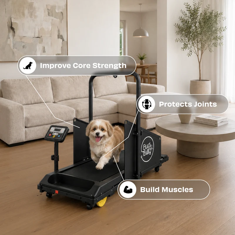 Bud & Billy Quiet & Movable Indoor Small Dog Treadmill With Monitor, Tracker & Remote Control 115x53x76cm - Black
