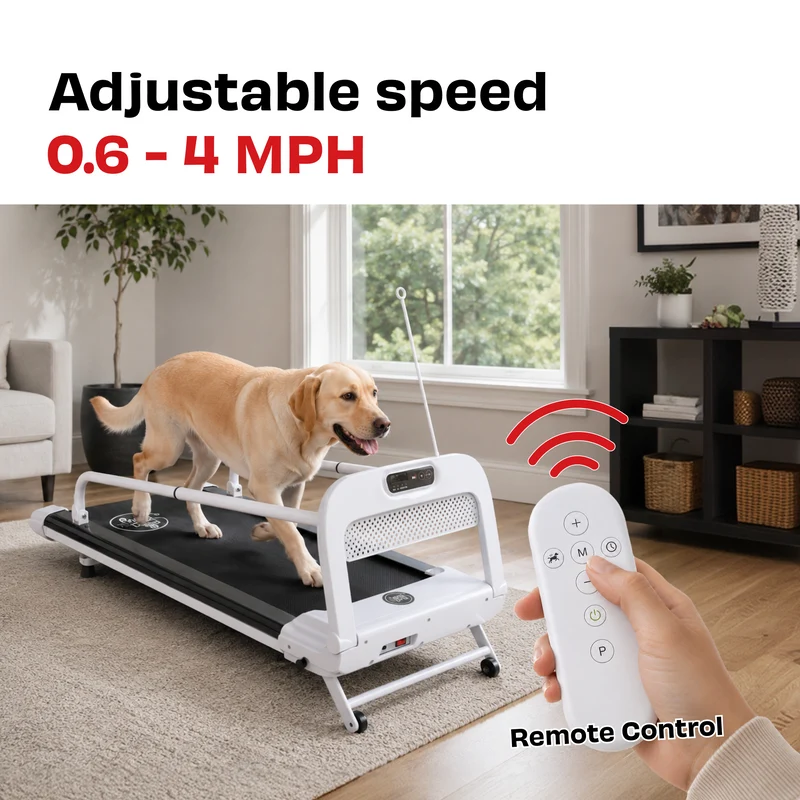 Bud & Billy Quiet & Movable Indoor Large Dog Treadmill With Monitor, Tracker & Remote Control 130x53x45cm - White