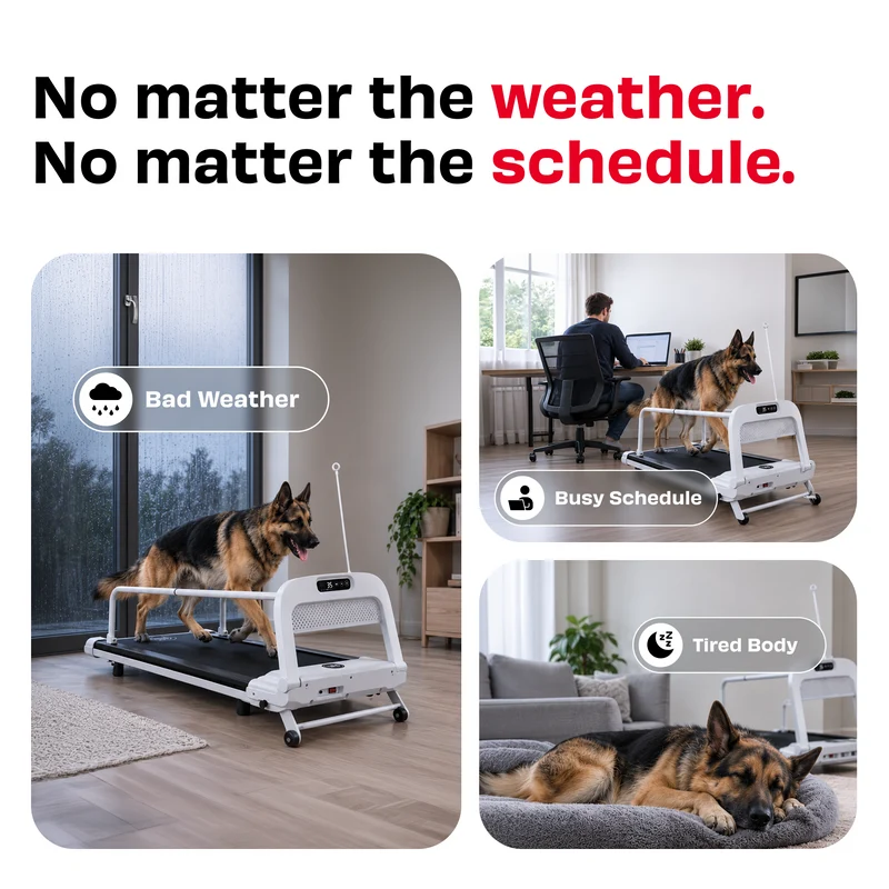 Bud & Billy Quiet & Movable Indoor Large Dog Treadmill With Monitor, Tracker & Remote Control 130x53x45cm - White