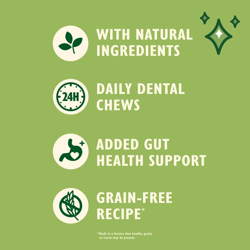 Lily's Kitchen Woof Brush Gut Health Support Dental Chew For Adult Dogs
