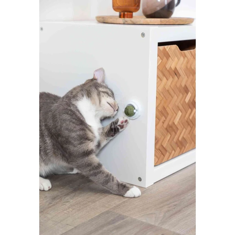 Trixie Catnip Ball Toy With Holder 5cm