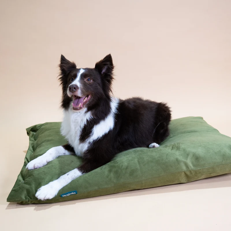 Regalia Velvet Deep Duvet Non-Slip Dog Bed - Green/Medium