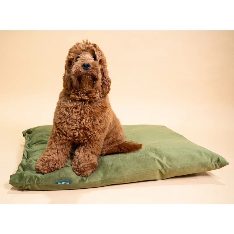 Regalia Velvet Deep Duvet Non-Slip Dog Bed - Green/Medium