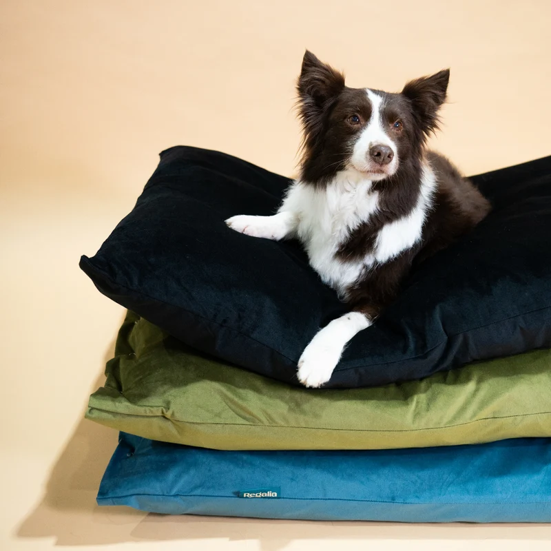 Regalia Velvet Deep Duvet Non-Slip Dog Bed - Aqua/Large