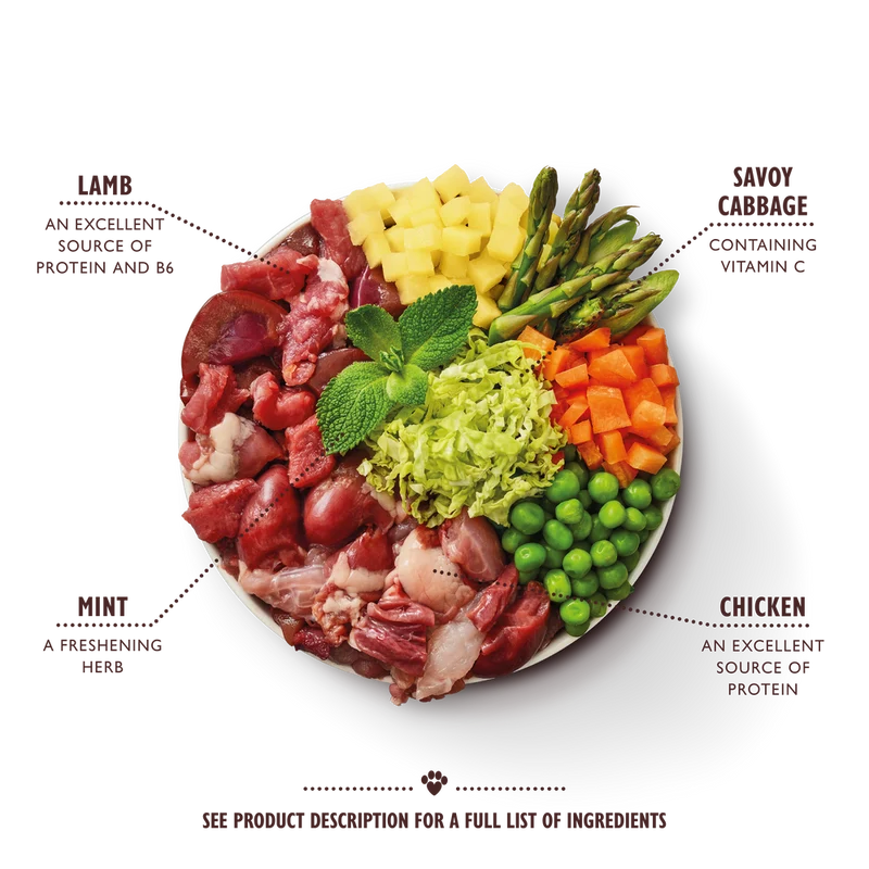 Lily's Kitchen Dog Springtime Stew Tray Wet Dog Food