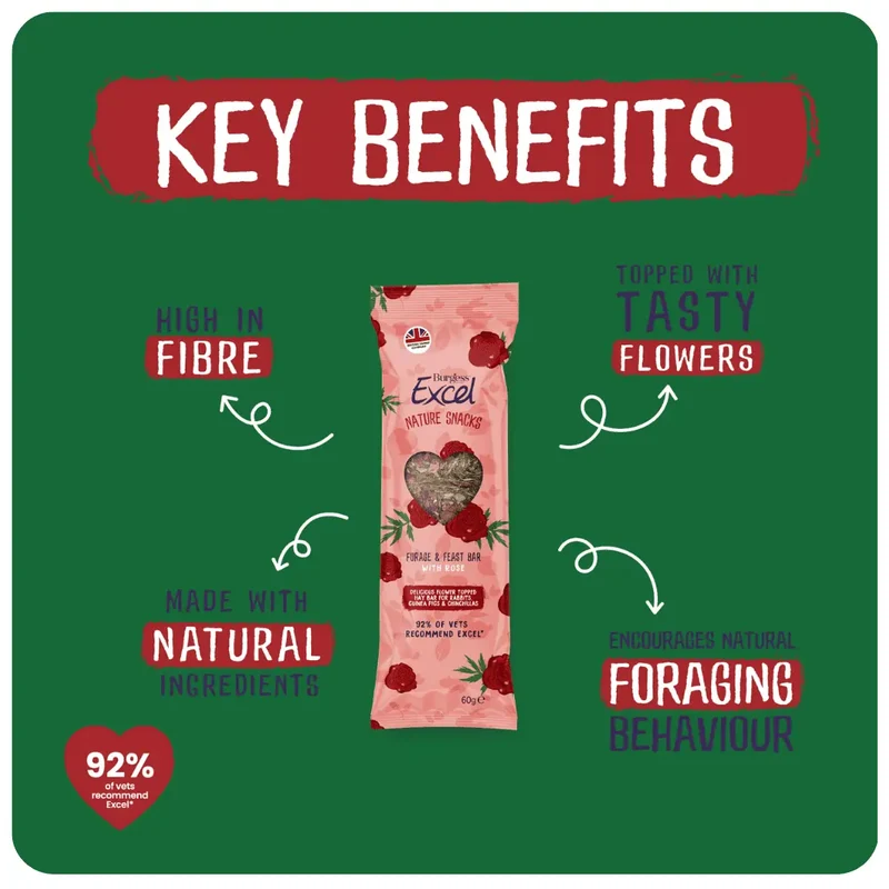 Burgess Excel Forage & Feast Hay Bar With Rose Small Pet Treats 60G