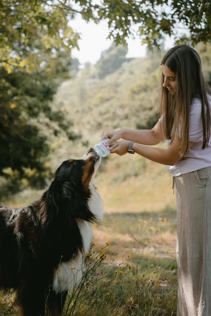YowUp L.Casei Turkey Dog Wet Food Topper For Immune System 115g