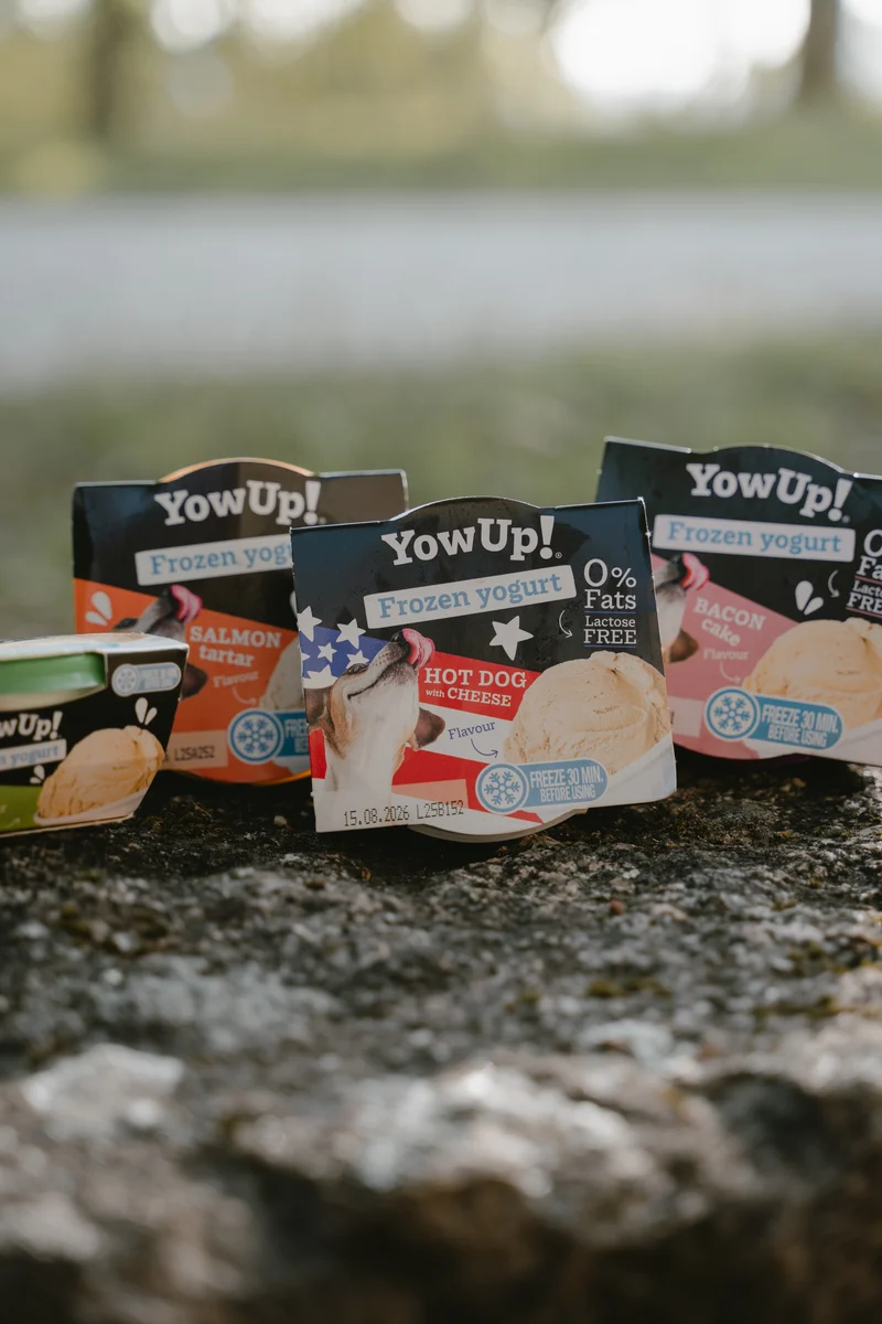 YowUp Frozen Yogurt Hot Dog Cheese Dog Treat 110g