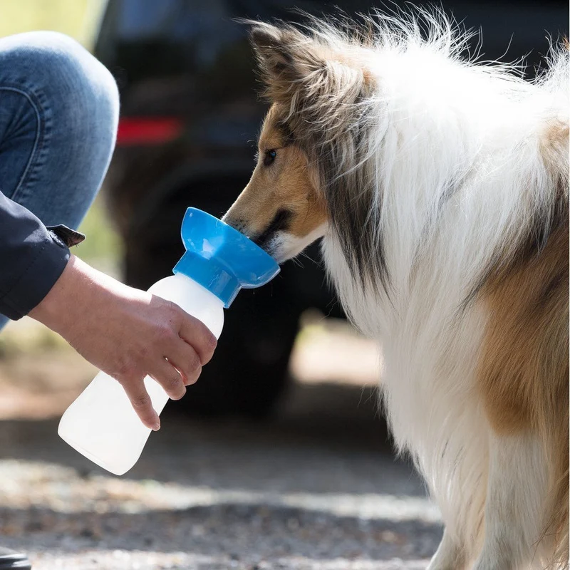 Flasche mit Trinknapf