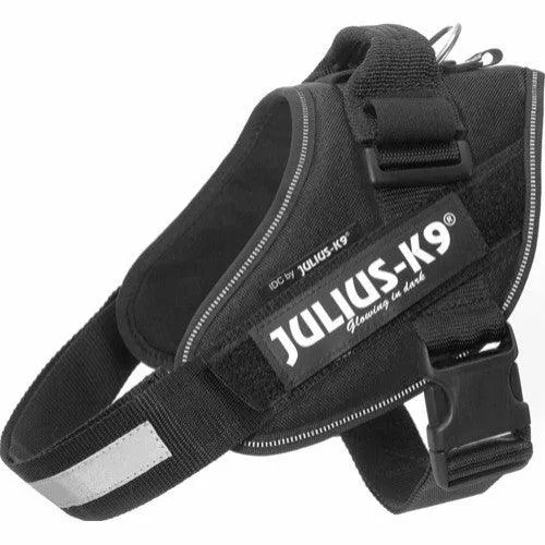 Julius Geschirr – „K9 IDC“ – Schwarz