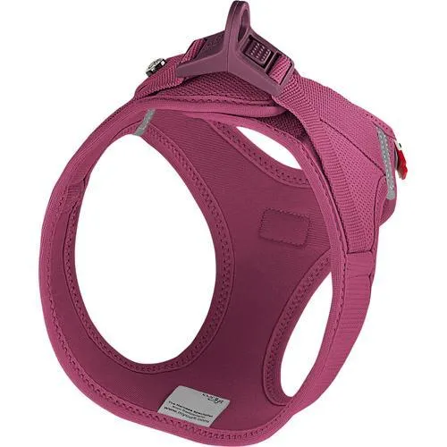 Curli-Geschirr – „Clasp Air-Mesh“ – Rubin