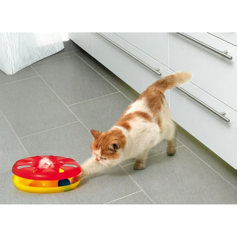 Kitty Round About Spielrad