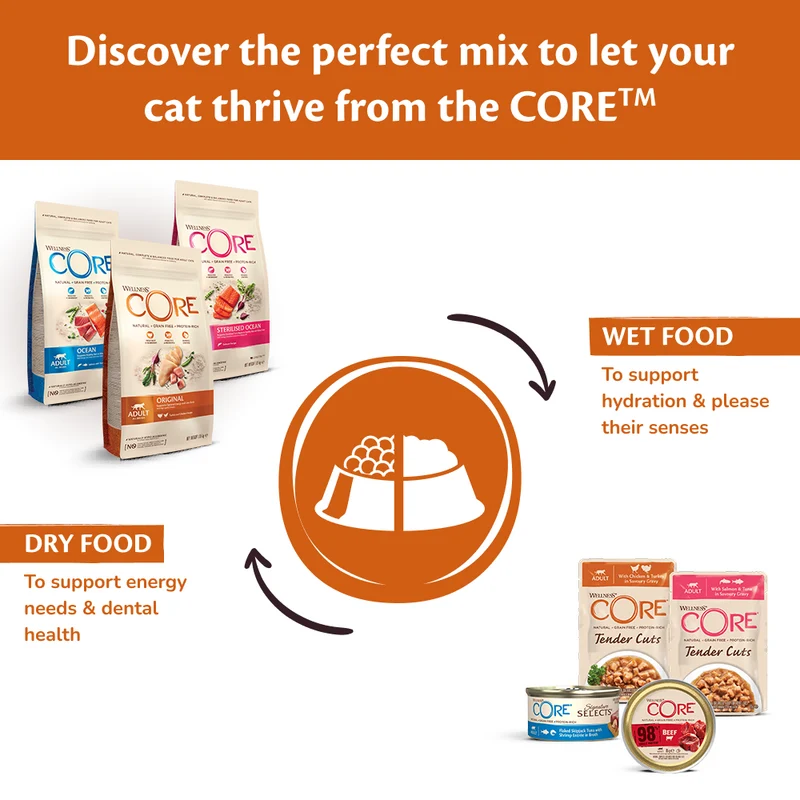 Wellness Core Sterilised Ocean Salmon Adult Dry Cat Food 1.75KG