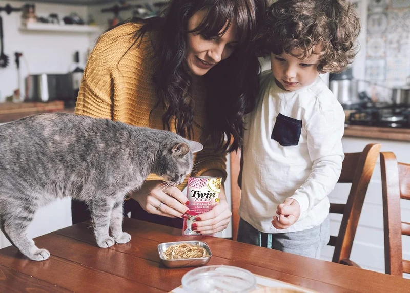 Inaba Twin Pack Chicken Recipe In Chicken Broth Wet Cat Food 2x40G