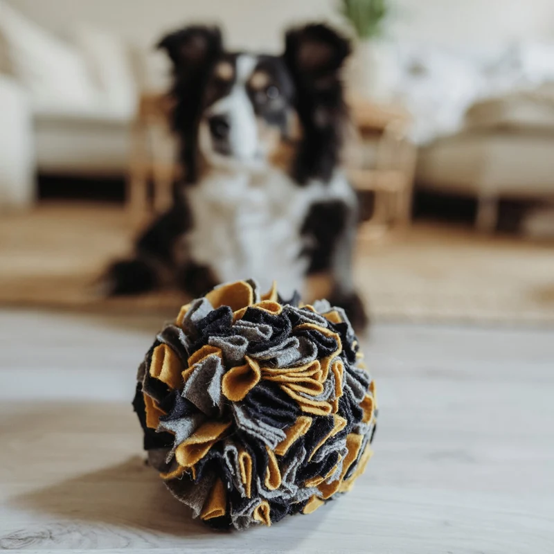 Schnüffelball Eiby für Hunde