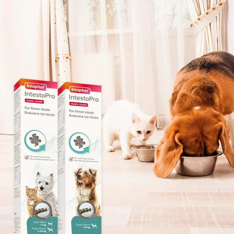 Beaphar Intestopro Anti Diarrhea Paste Syringe for Large Dogs 2x20ml