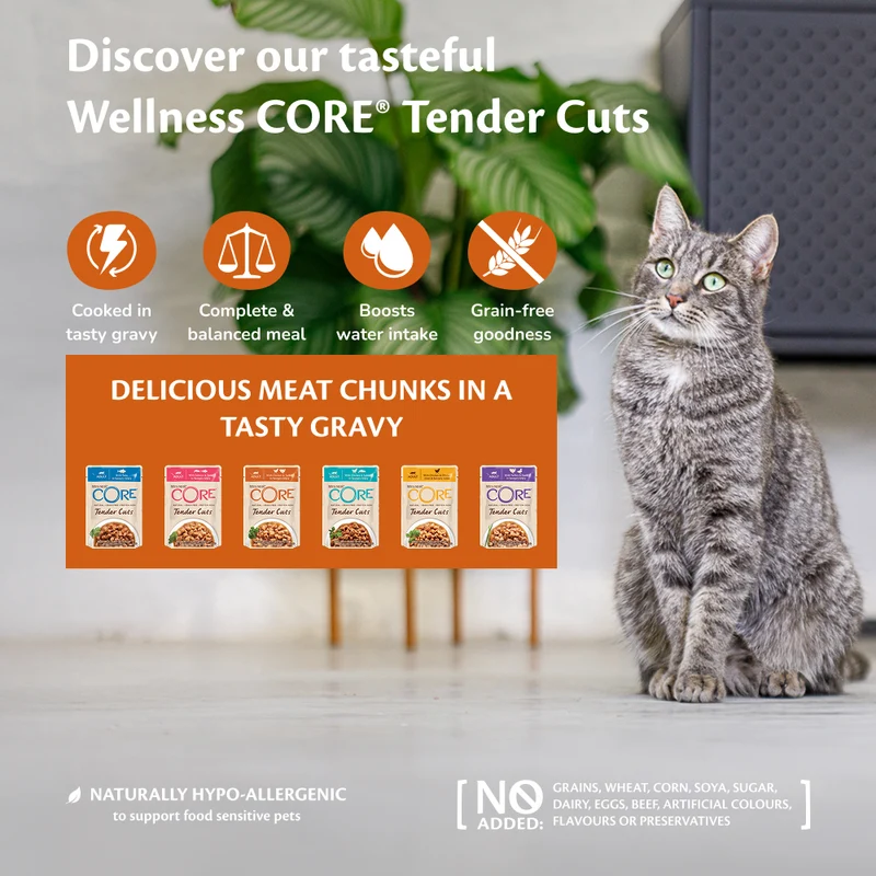 Wellness Core Tender Cuts Tuna in Savoury Gravy Adult Wet Cat Food 85G