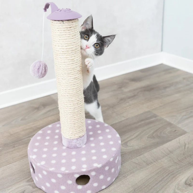 Junior Kratzstamm mit Spielzeug für Kitten