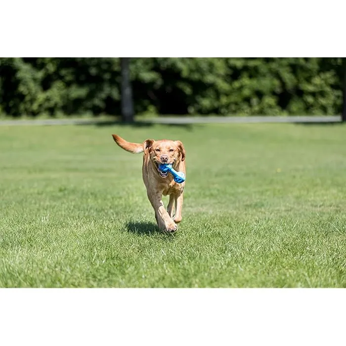 Trixie TPR Cooling Dumbbell & Chew Toy for Dogs 18cm