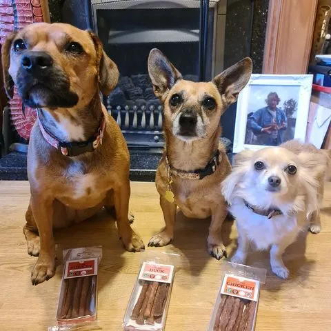 JR Pet Products Pure Turkey Sticks Dog Treats 50G