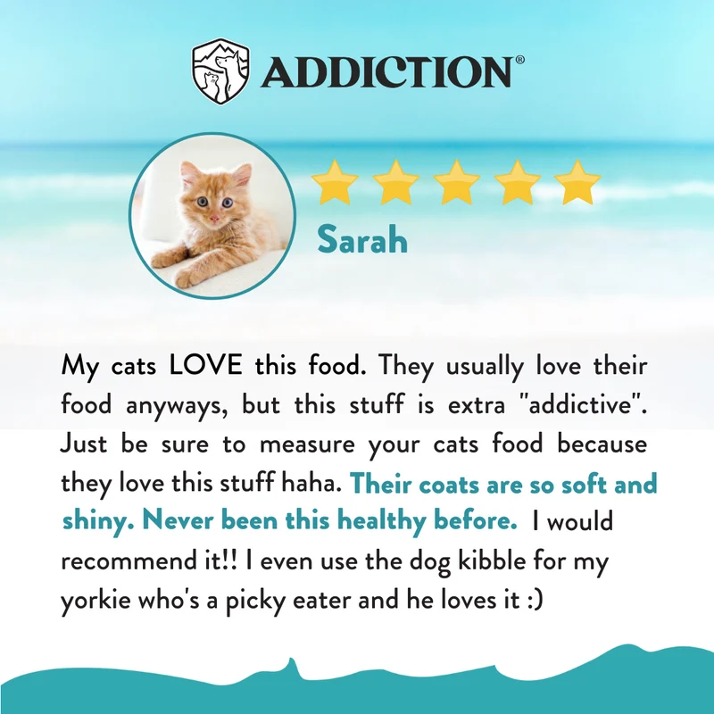 Addiction Salmon Bleu Skin & Coat Dry Puppy Food 1.8KG