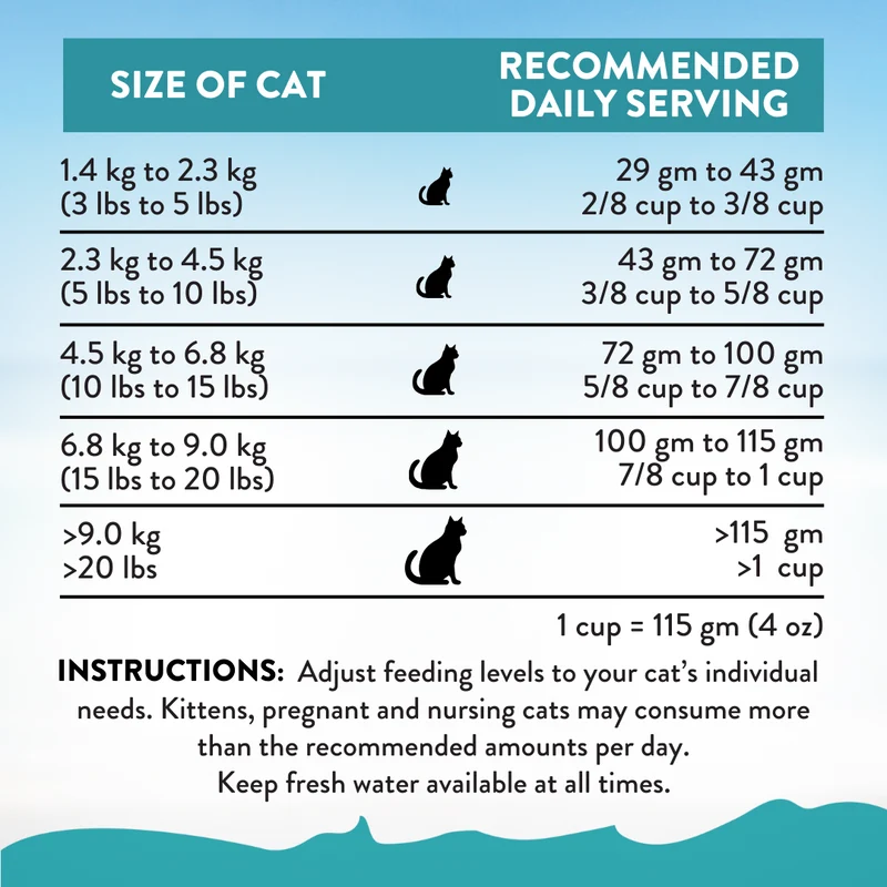 Addiction Salmon Bleu Skin & Coat Dry Puppy Food 1.8KG
