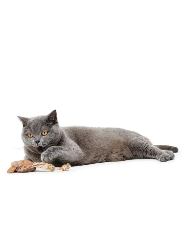 Hunter Moa Maus Katzenspielzeug