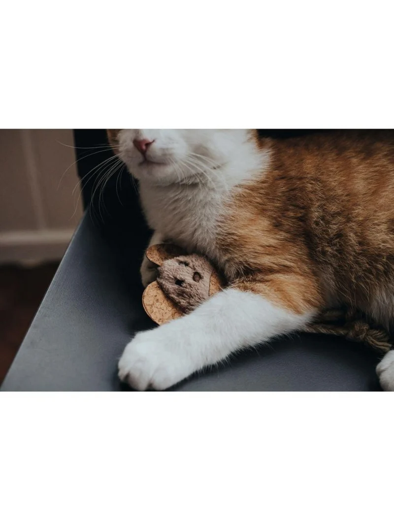 Hunter Moa Maus Katzenspielzeug