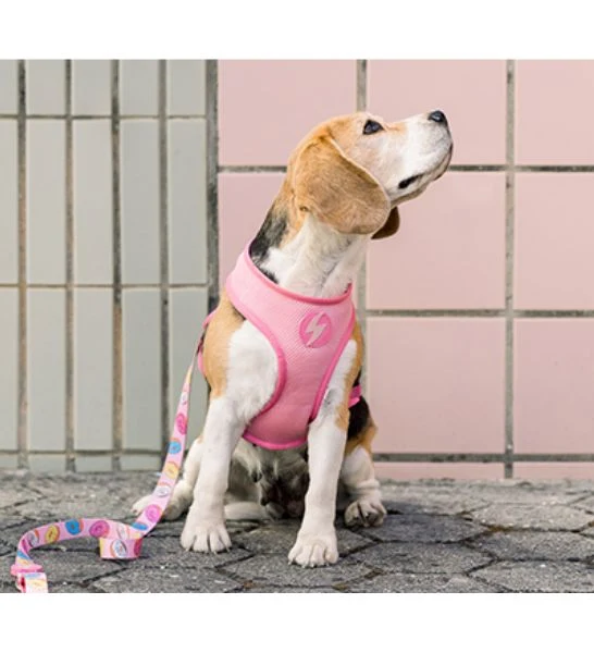 Dashi Donut Neo Mesh Adjustable & Reversible Harness For Dogs