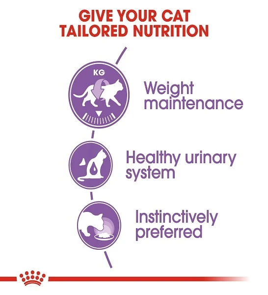 Royal Canin Sterilised Adult Wet Cat Food In Jelly 85G
