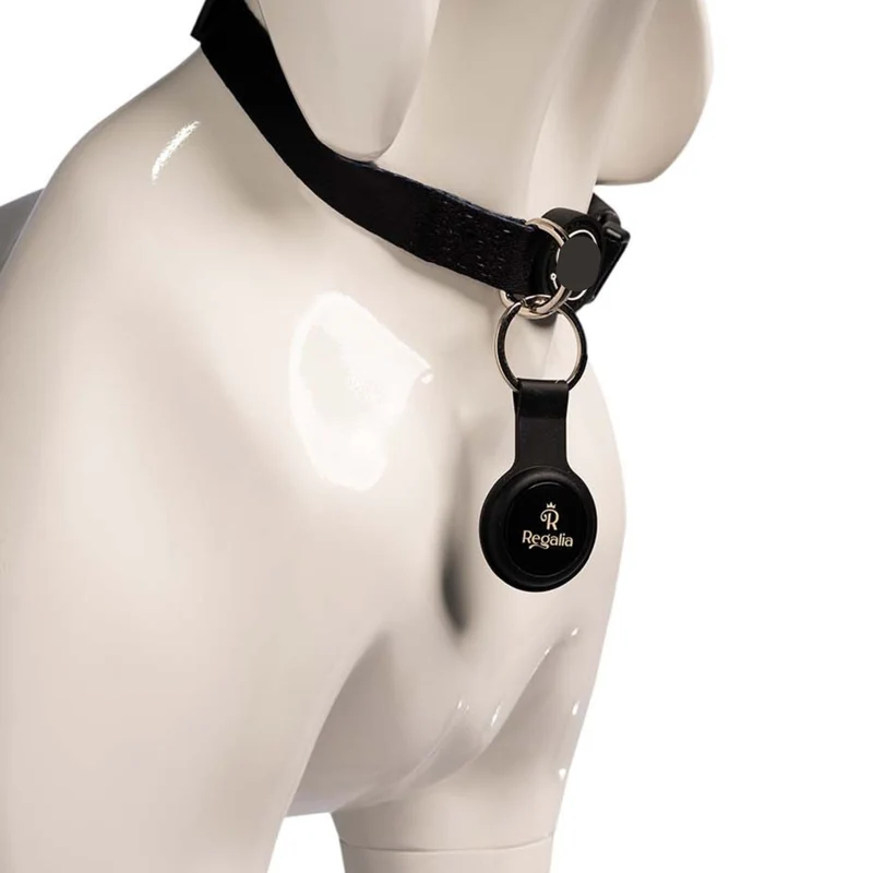 Regalia Cat ID Tag Tracker