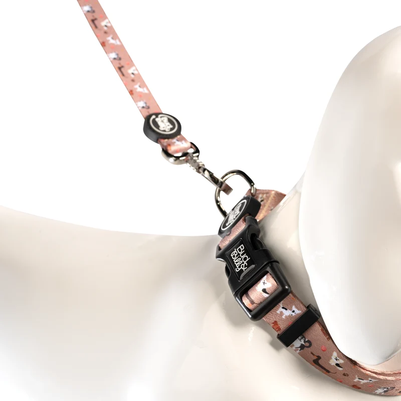 Bud & Billy Dog Park Pals Dog Leash