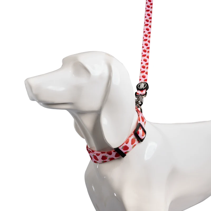 Bud & Billy Pink Berry Pop Dog Leash