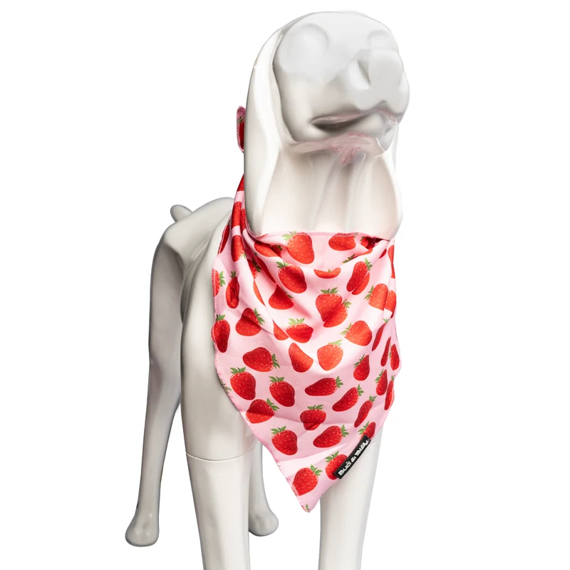 Bud & Billy Pink Berry Pop Dog Bandana