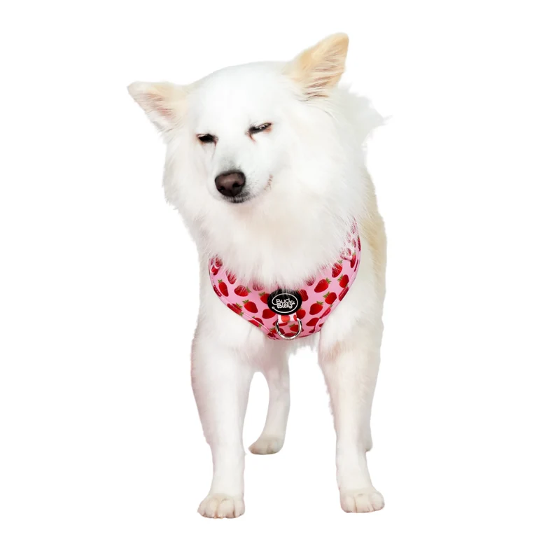 Bud & Billy Pink Berry Pop Dog Vest Harness