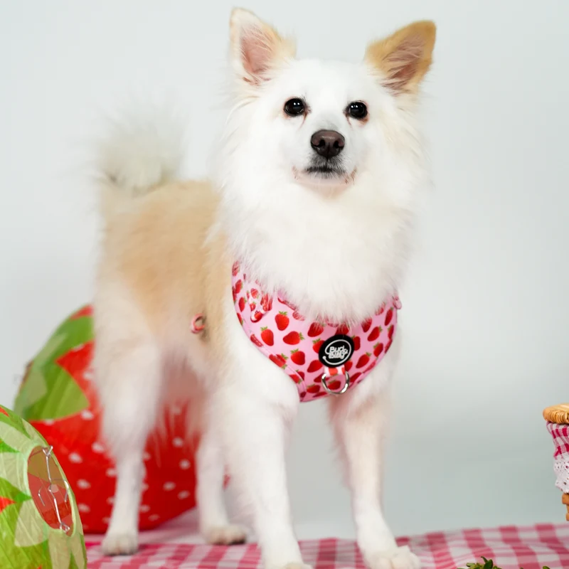 Bud & Billy Pink Berry Pop Dog Vest Harness