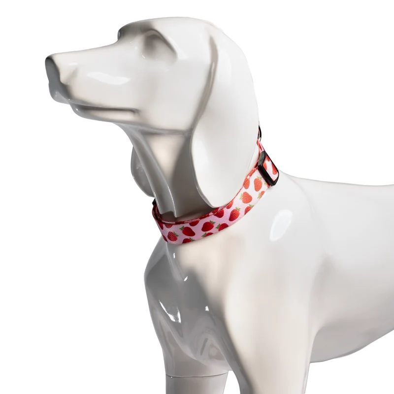 Bud & Billy Pink Berry Pop Dog Collar