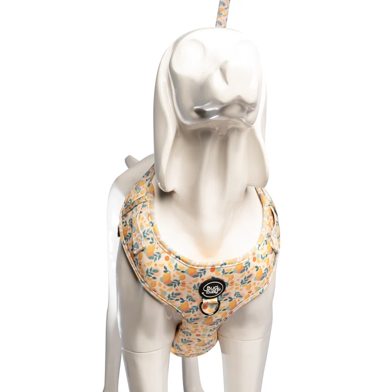 Bud & Billy Citrus Bloom Dog Vest Harness