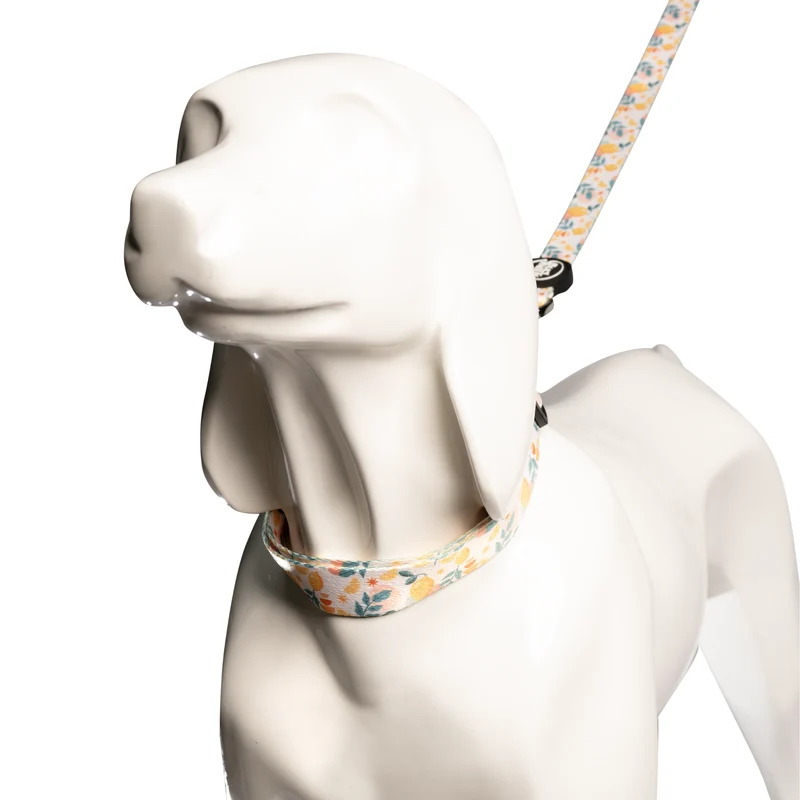Bud & Billy Citrus Bloom Dog Collar