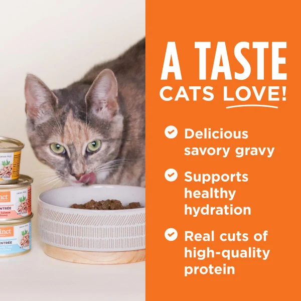Instinct Flaked Chicken Entree Wet Cat Food 3oz