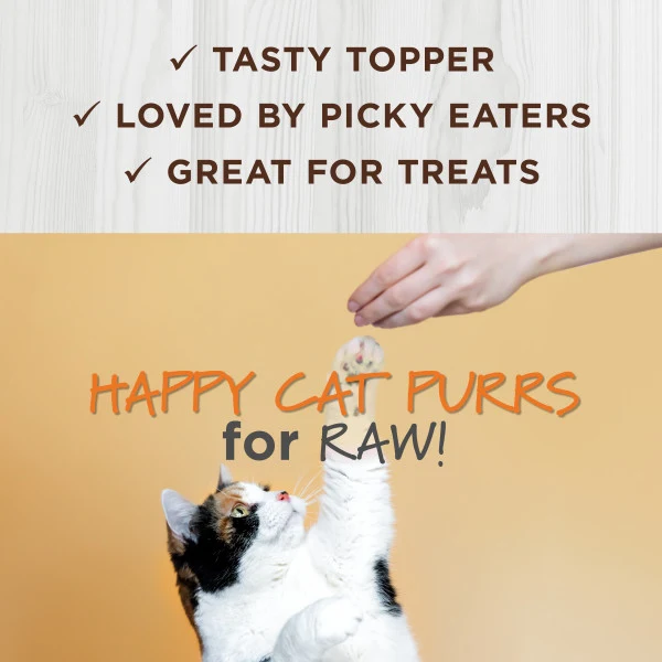 Instinct Raw Boost Mixers Skin & Coat Health Cat Food Topper 0.75oz