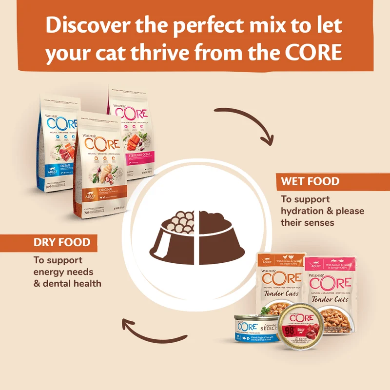 Wellness Core Signature Selects Shredded Boneless Chicken Entree With Turkey In Sauce Adult Wet Cat Food 79G