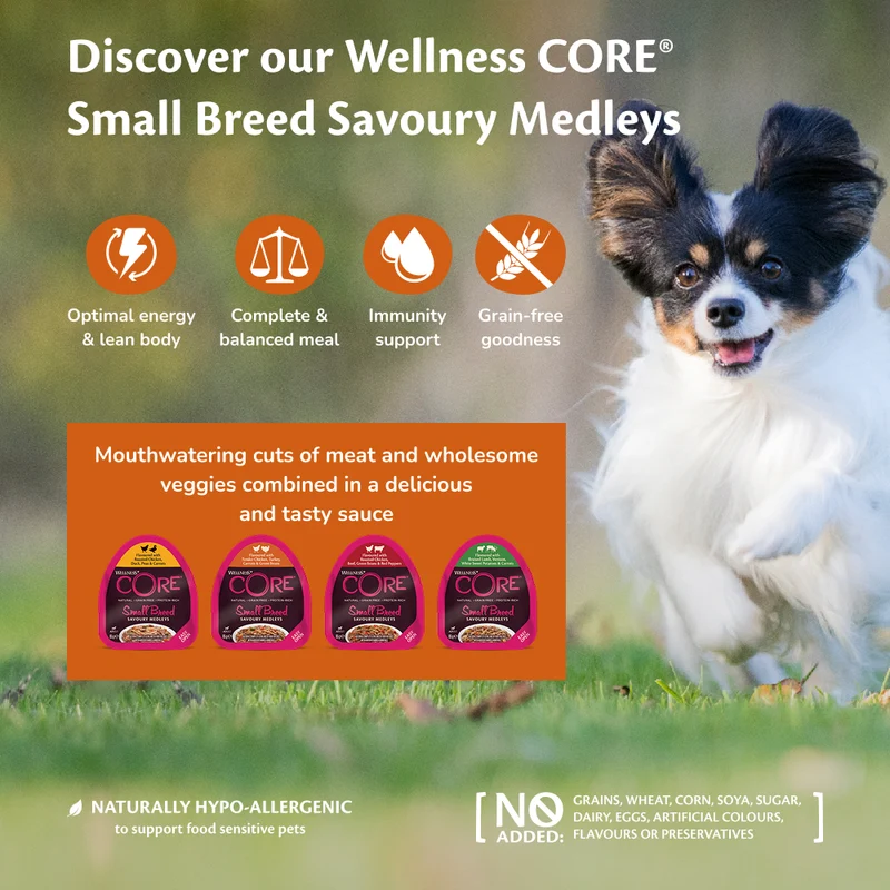 Wellness Core Small Breed Savoury Medley with Lamb & Venison Adult Dog Wet Food - 85G
