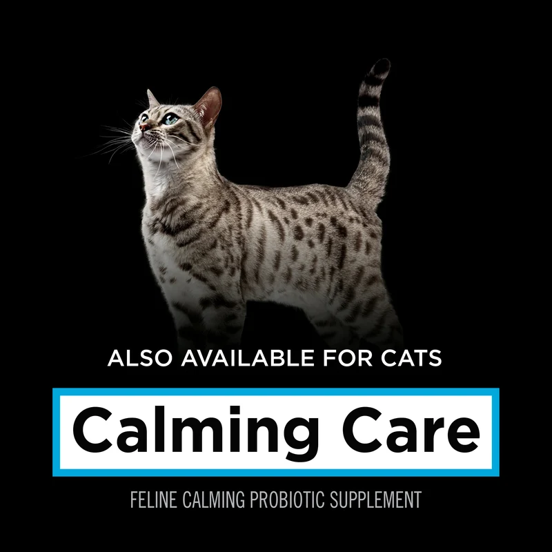 PURINA Pro Plan Veterinary Supplements Calming Care Dog Probiotic Anxiety Supplements 30X1G