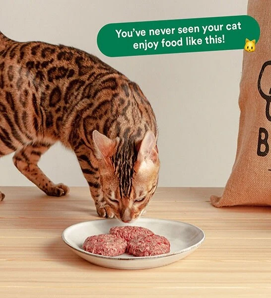 Wild Balance Complete BARF Menu Salmon Raw Food for Cats 1KG