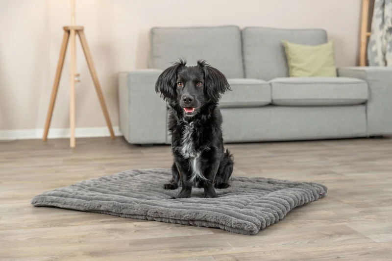 Trixie Lonni Corduroy Plush Lying Mat for Dogs